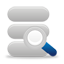 Auswertung der Datenbank