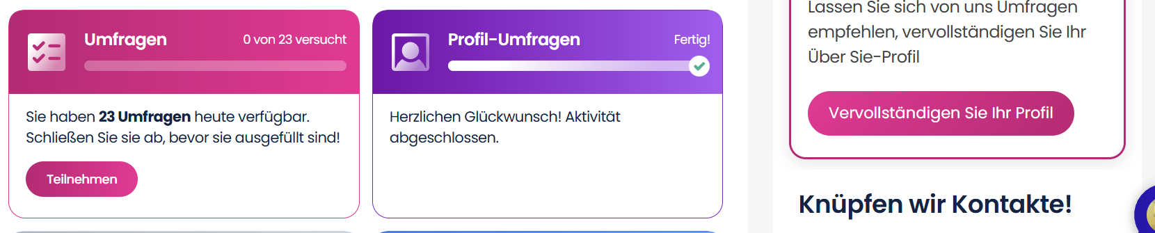 Startseite eines Toluna-Kontos mit der Kachel Umfragen und der Zahl der heute verfügbaren Umfragen, daneben die Kachel Profil-Umfragen mit dem Vermerk Fertig