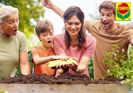 Compo Goldjagd 2025 - Gewinnspiel