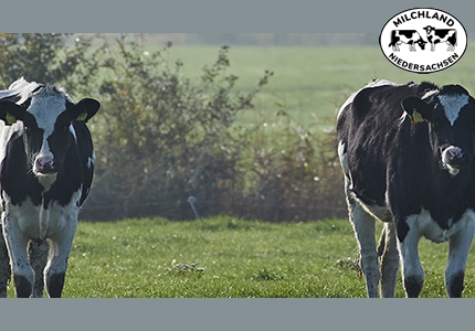 Logo Milchland Ferienbauernhof in Niedersachsen 2025 - Gewinnspiel