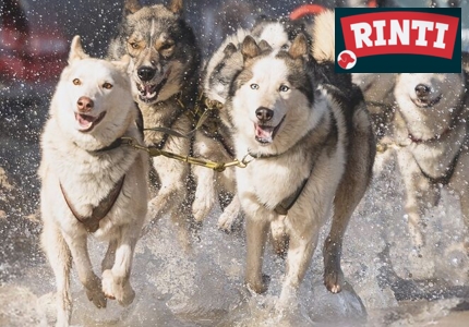 Logo RINTI  2026 - Gewinnspiel