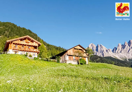 Logo Roter Hahn Bauernhofurlaub 2026 - Gewinnspiel