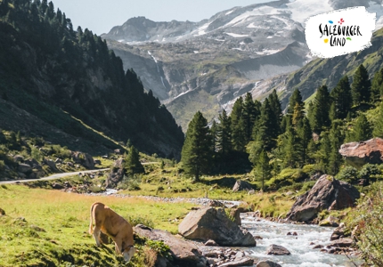 Logo SalzburgerLand Newsletter 2026 - Gewinnspiel