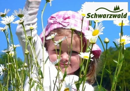 Logo Schwarzwald 03.2026 - Gewinnspiel