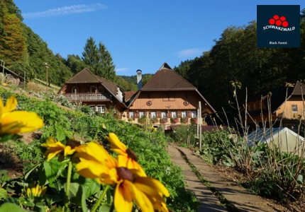 Logo Schwarzwald Dorfurlaub 2026 - Gewinnspiel
