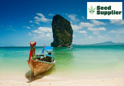 Logo Seed Supplier Thailand Reise 2026 - Gewinnspiel