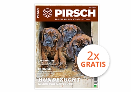 Logo Pirsch 2 Ausgaben 2026 - Gratisprobe