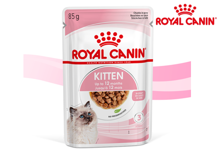 Royal Canin Kitten Nahrung - Gratisprobe
