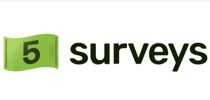 Logo Five Surveys 