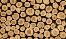 Holztechnik-Studium