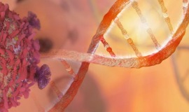 Humanbiologie-Studium